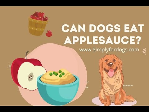 Can Dogs Eat Applesauce?