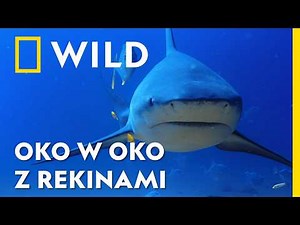 Ekstremalna wyprawa: spotkaj fascynujące bestie z głębin oceanu | National Geographic [lektor PL]