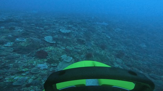 Robots make bottom of the ocean discovery where humans can't reach