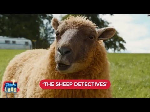 Go behind the scenes of Amazon mystery 'The Sheep Detectives' | Take a Look