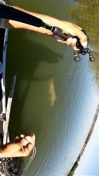 My Biggest Musky of 2025 was 45" #musky #muskyfishing #michigan #puremichigan #fishing