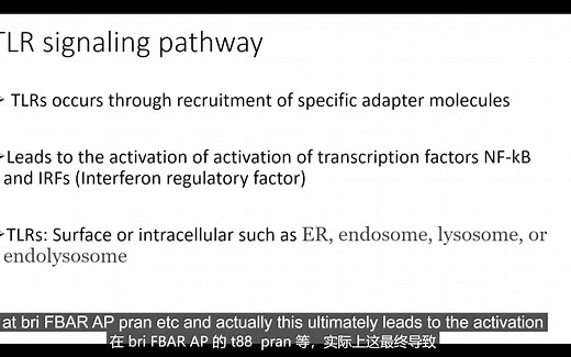 TLR信号通路-促炎因子--IFN-Toll like receptors (TLRs) signaling pathway
