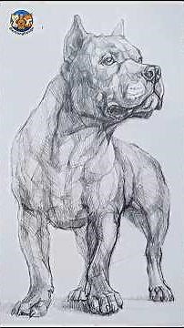 How to Draw a Realistic Pitbull 🐶 | Step-by-Step Pencil Portrait for Beginners