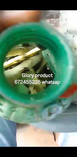 1.6K views · 17 reactions | 500 couples de géniteurs disponible bon prix avec le meilleur aliment complet Glory product 672455235 whatsap | Glory _ product | Facebook