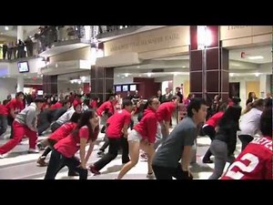 Gangnam Style Flashmob at Ohio Union