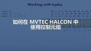 如何在 MVTec HALCON 中使用控制元组