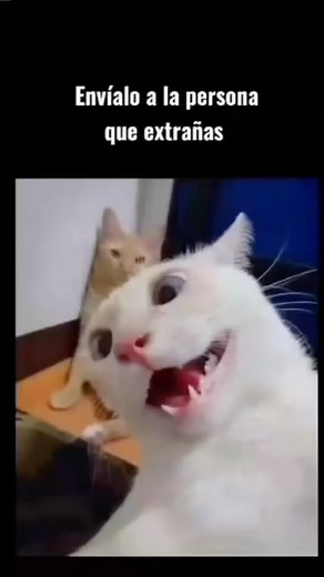 Anitta ✨ on Instagram