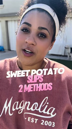 How to Make Sweet Potato Slips for Planting