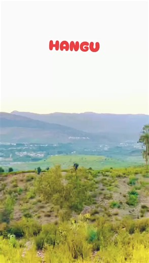 A Closer Look at Hangu: Culture and Tradition