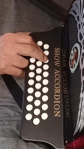 9.6K views · 173 reactions | Adorno de primera de sol en acordeon de sol #tutorialacordeon #acordeonfacil #acordeon | Show-acordion | Facebook