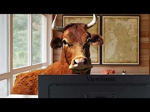 One Price Online Buddy - Wilsonville Toyota NO Bull!