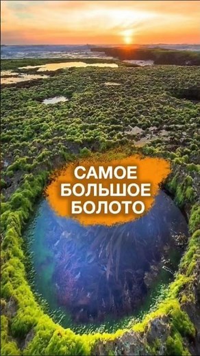 THE LARGEST SWAMP IN RUSSIA 🌎 Vasyugan Swamps #travel #facts #siberia #travel #trip
