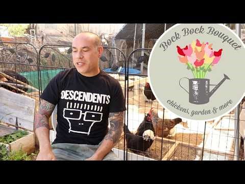 Autoimmune Disease Update - Eosinophilic Fasciitis