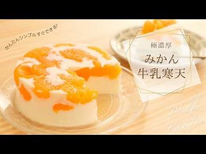 【極濃厚】みかん牛乳寒天🍊🐮｜暑くなってくる季節に作って食べたい！すぐ作れる簡単レシピ👩🏻‍🍳🌿