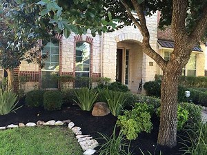 Landscaping 101, A Mini Course | Home Garden Companion