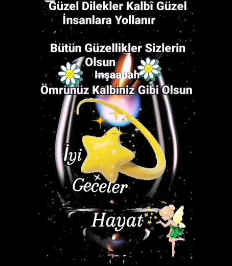 _yalnız_kaptan_ TikTok'ta