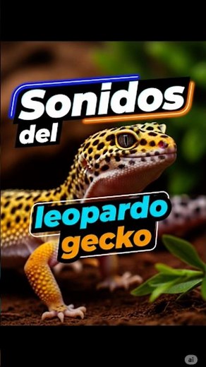 Sonidos del Leopardo Gecko 😅 Noises ¿los habías escuchado? #datoscuriosos #leopardogecko #reptiles