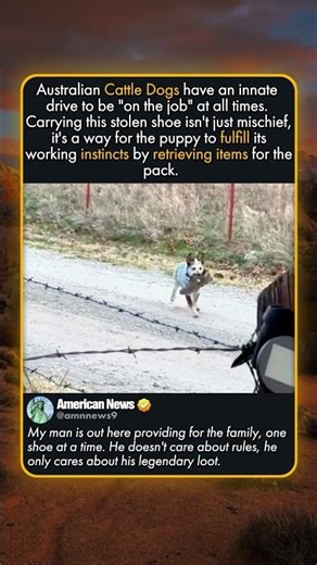 THE STRUGGLE OF RANCH LIVING