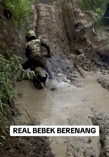 BEBEK BERENANG SUARANYA KHAS