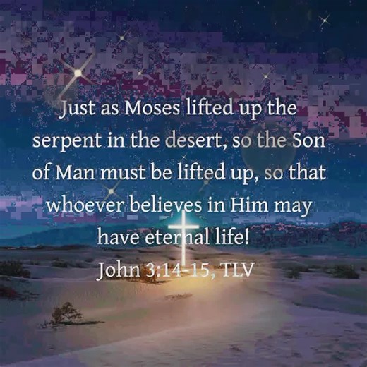 Alterboy (@altaboyunited)’s videos with original sound - Alterboy