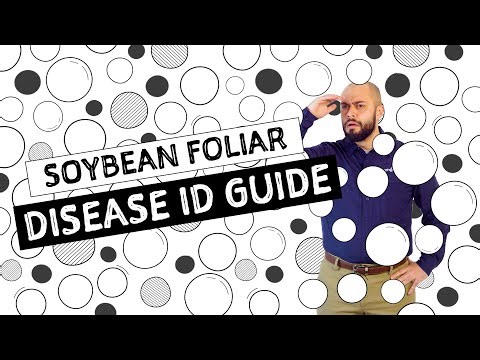 AG in :60 – Soybean Foliar Disease ID Guide