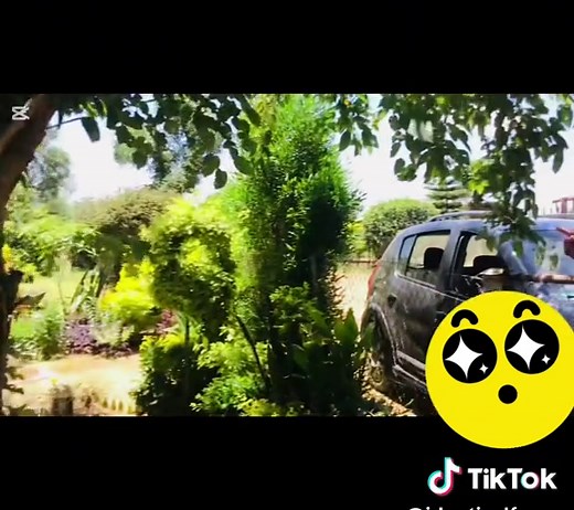 Caring for My Disabled Sister: My Responsibility