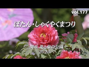 【2023東北春の花めぐり】ぼたんしゃくやく祭り【一関市花泉町 花と泉の公園ぼたん園】