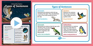 A Tale of Two Feathers: Types of Sentences English Lesson Pack Year 2