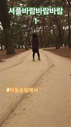하동송림에서 셔플바람바람바람#셔플기초#하동송림#송림공원#하동가볼만한곳