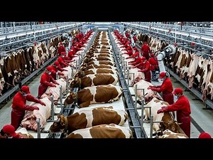 Inside the Cow-Leather Factory: From Cowhide to Luxury Jacket (Full Process)
