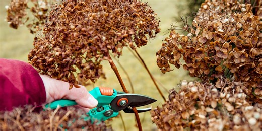 How to garden through 'unpredictable' February: 5 lessons to set you up for spring