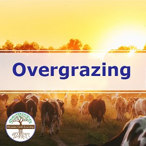 Overgrazing | Video Lesson, Handout, Worksheets | Environmental Earth Science