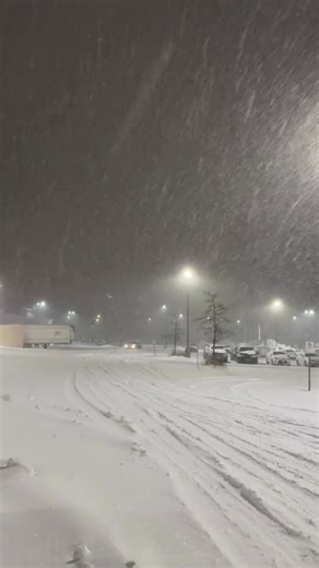 Pokemon card fans drive in a blizzard to go to costco to stand in line for 5 hours outside to buy pokemon cards ❄️🃏 Pokémon Card Fans vs the Blizzard—Costco Line Survival Mode 😭🔥 Pokémon card fans literally drove through a blizzard just to reach Costco, then stood outside for five freezing hours waiting for Pokémon cards like it was a once-in-a-lifetime drop, snow piling up on jackets, hands going numb, phones dying in the cold, and yet nobody leaving the line because the fear of missing out 