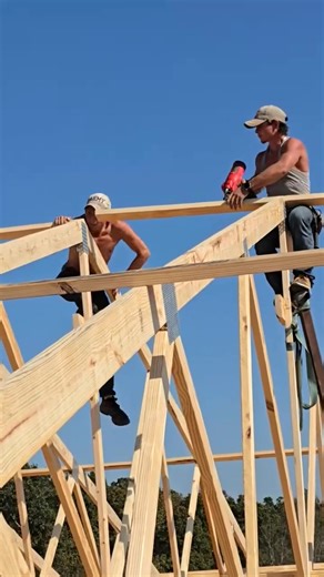 Pro framing | David Jones