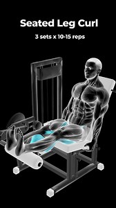 69K views · 694 reactions |  Leg Day – Jeff Nippard Inspired ...