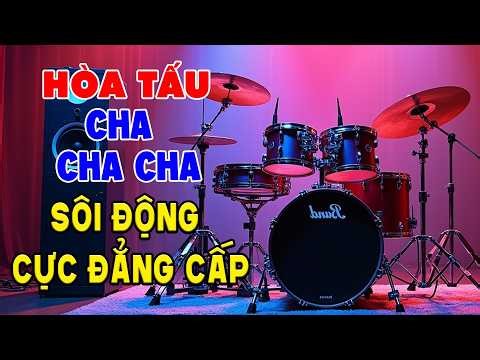 LK Nhạc Sống Không Lời HAY NHẤT & SÔI ĐỘNG - Hòa Tấu Cha Cha Cha - Nhạc Test Loa Chuẩn Nhất