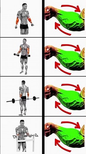 Build Bigger Forearms FAST! 4 Best Exercises for Massive Forearm Growth 💪