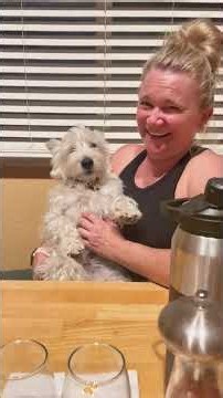When you scratch your dog and they melt like butter in the sun #funnydog #dogsofttiktok #fyp #usa🇺