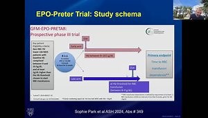 ASH 2024 Summary: Highlights in AML, MDS, and ALL