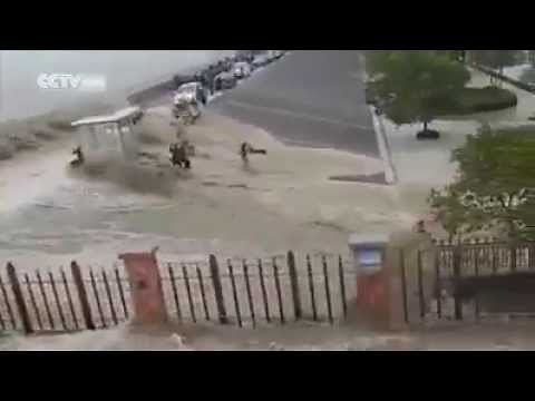 Deadly Tsunami washed away people on Bridge - CCTV Footage