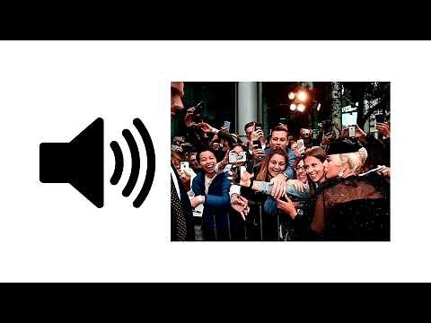 Hollywood Red Carpet Fans - Sound Effect | ProSounds