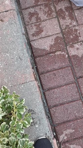 Hehe🥰🥰 #widebody #carsoftiktok #cleantok #brz #slow #fyp ￼#foryoupage #viral #carseason #carbuild #jdm #cars #carguy