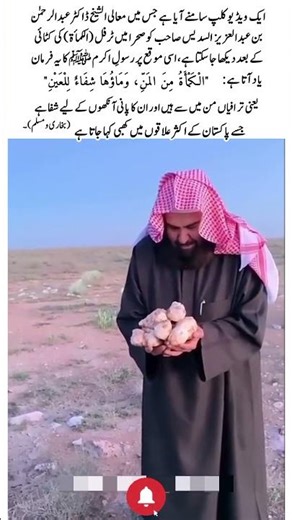 Sheikh Al-Sudais After Truffle Harvest | Healing Hadith#shortsfeed #viralvideo #usa #uk