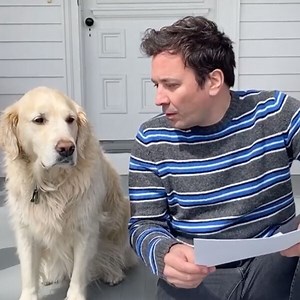 Watch Jimmy Fallon Get Trolled By His Dog During Hilarious "Interview"