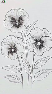 12K views · 74 reactions | Easy Flower Drawing #drawing #pencilsketch | Drawing Book | Facebook