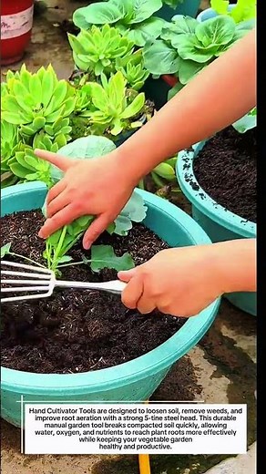 Hand Cultivator Tools Loosen Soil 5-Tine Steel Garden Tools for Faster Plant Growth