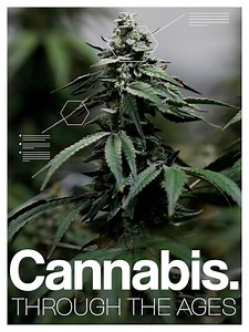 Cannabis: Through the Ages