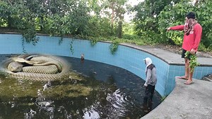 Biglaan na pag lusob sa lumang swimming pool | Zuma Haring Ahas