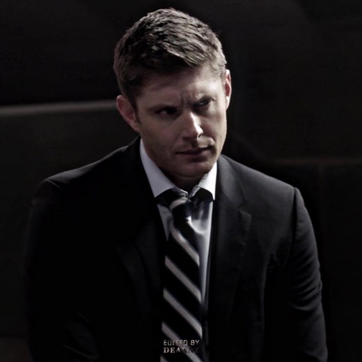 Funny and Adorable Compilation of a Chubby Cat | Hilarious Cat Video