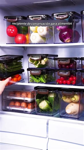 Creative Lunch Ideas for Work and Kids